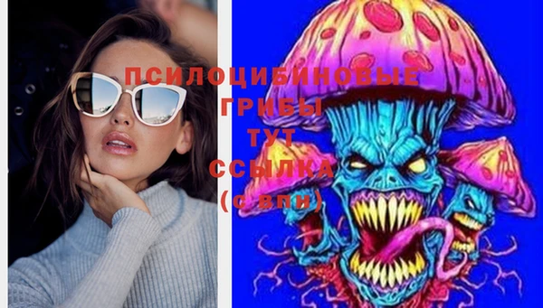 дмт Новокубанск